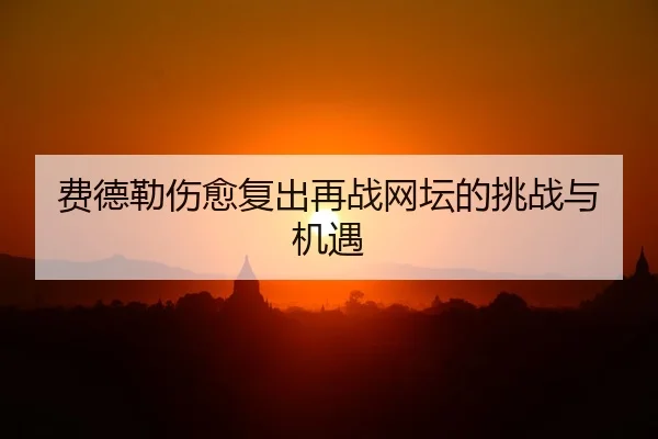 费德勒伤愈复出再战网坛的挑战与机遇